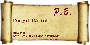 Pergel Bálint névjegykártya